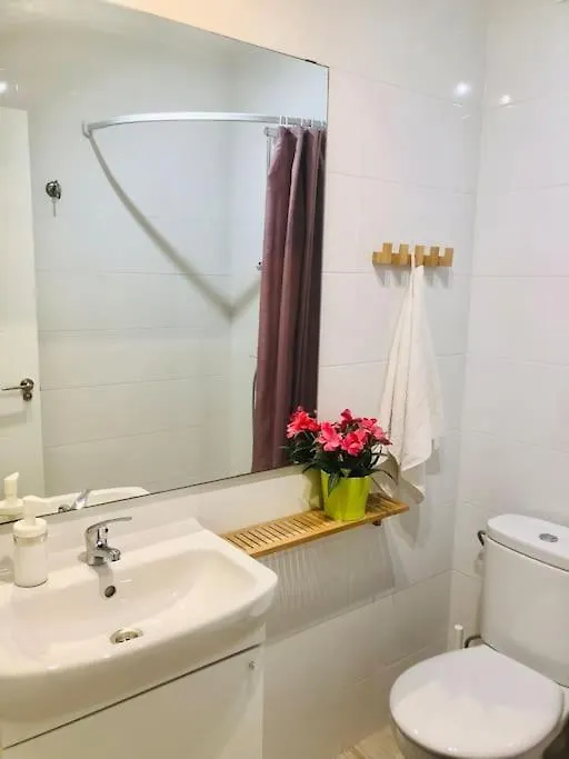 Centrico Piso Con 2 Camas De Matrimonio Apartment Malaga Spain