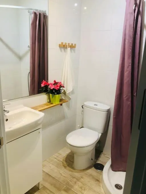 Centrico Piso Con 2 Camas De Matrimonio Apartment Malaga